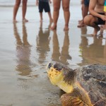 IMG-20250404-WA0043